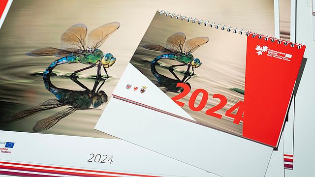 Le foto vincitrici verranno pubblicate sul calendario Euregio 2025 che, come gli anni scorsi (foto del 2024), sarà disponibile nella versione da parete e da tavolo.