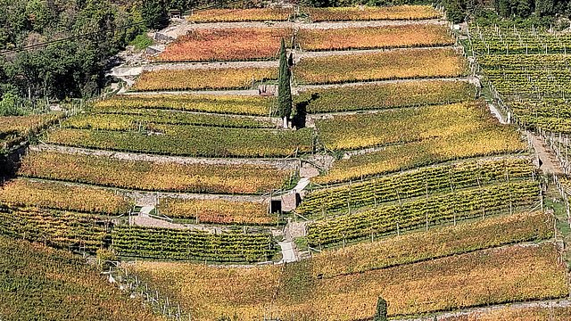 Thema beim Euregio-Kulturdonnerstag am 28. November 2024: Wein als prägendes Element für Landschaft (im Bild: St. Magdalena bei Bozen) Kultur, Geschichte und Identität.