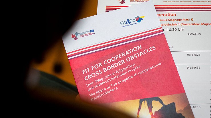 Fabio Brucculeri Interreg-Projekt Fit4Co